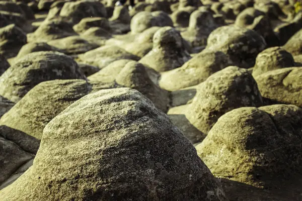 Phuhinrongkla Milli Parkı, Tayland — Stok fotoğraf