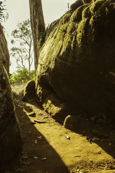 Parque Nacional de Phuhinrongkla, TAILANDIA — Foto de Stock