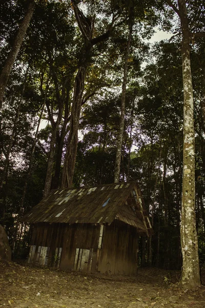 Parque Nacional Phuhinrongkla, TAILÂNDIA — Fotografia de Stock