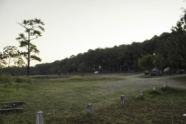 Parco nazionale Phu Hin Rong Kla — Foto Stock