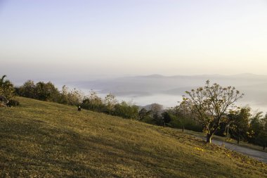 Sabah dağ ve doğa Nan, Thailand.