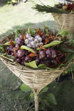 Ot ve Sebze Bahçesi, Tayland