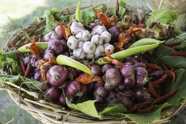 Herb and vegetable garden, Thailand — Stock Photo, Image