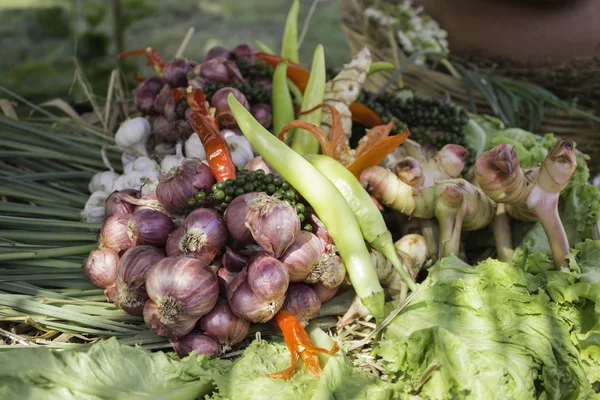 Herb and vegetable garden, Thailand — Stock Photo, Image