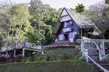 Görünüm dağ ve doğa