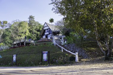 Görünüm dağ ve doğa