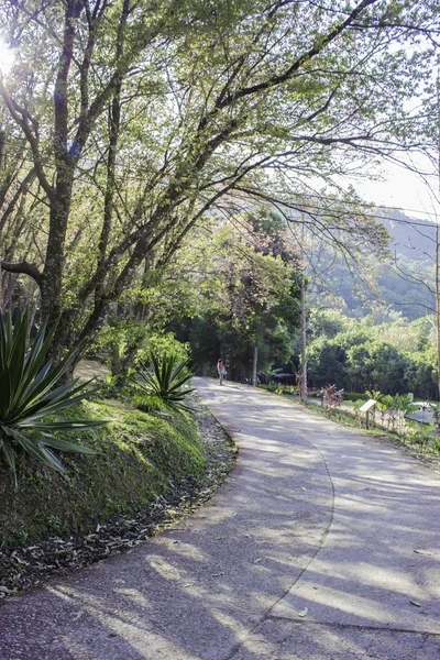 Vista montagne e natura — Foto Stock