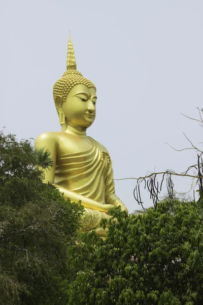 Wat Phrayai，泰国 2015 年 3 月 19 日:"艺术与佛教佛像"。Ubonratchathani，泰国. — 图库照片