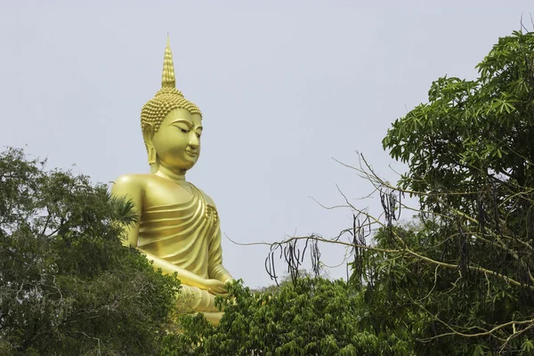 WAT Phrayai, Tayland Mar 19 2015: "Sanat ve Budizm Buda heykelleri." Ubonratchathani, Tayland. — Stok fotoğraf