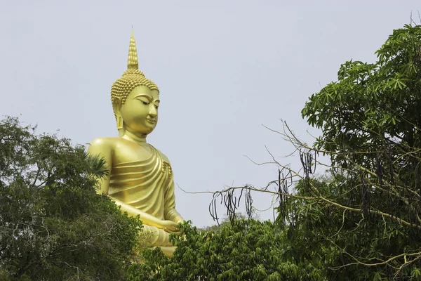 Wat Phrayai, THAÏLANDE 19 mars 2015 : "Art et statues de Bouddha dans le bouddhisme". Ubonratchathani, Thaïlande . — Photo