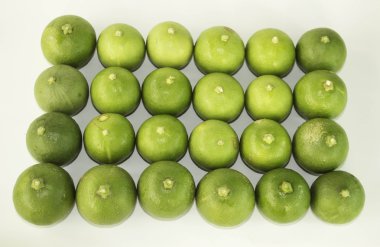 Limes beyaz zemin üzerine