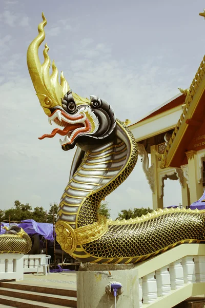 Tayland: Yasothon, Thailand ibadet ve tapınak sanatı yerlerin — Stok fotoğraf