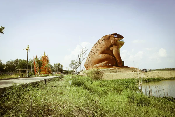 Crapauds de parc et festival de fusée modèle Yasothon, Thaïlande — Photo