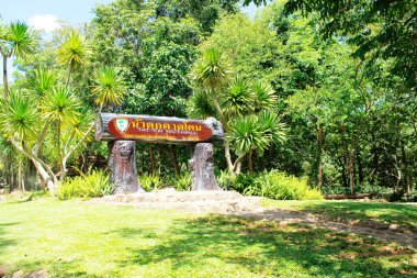 Wash'de Milli Parkı 17 Ağustos 2015: 