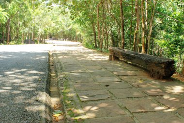 Wash'de Milli Parkı 17 Ağustos 2015: 