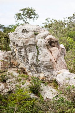 PA Hin Ngam 18 Ağustos 2015: 