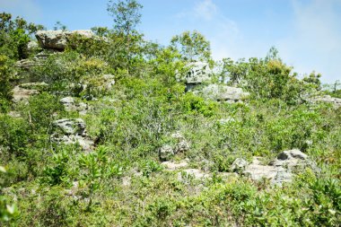 PA Hin Ngam 18 Ağustos 2015: 