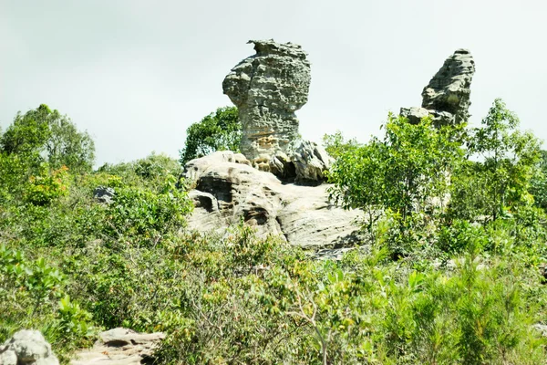 Pa Hin Ngam 18 agosto 2015: "Beauty stone" Chaiyaphum Thailandia — Foto Stock