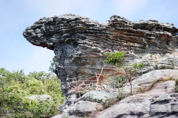 PA Hin Ngam 2015. augusztus 18.: "Szépség kő" Chaiyaphum, Thaiföld — Stock Fotó