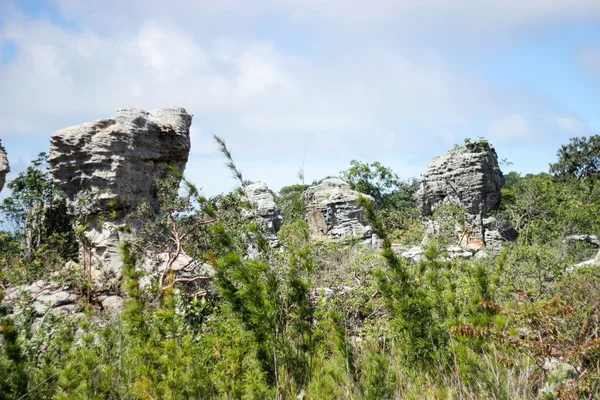 Pa Hin Ngam 18 augustus 2015: "Schoonheid stone" Chaiyaphum Thailand — Stockfoto