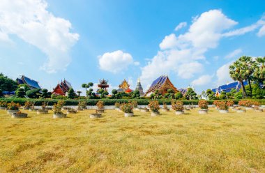 WAT-Banden 17 Aralık 2015: 