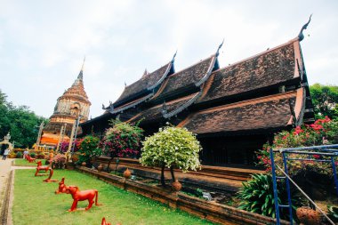 tomar-lokmolee 19 Aralık 2015: 