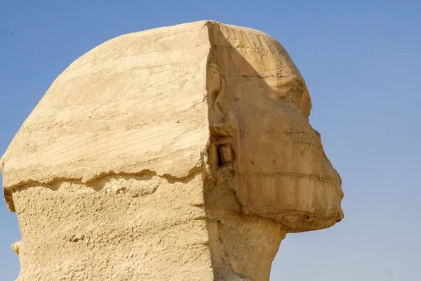 Head of the Sphinx in the historical places. — Stockfoto