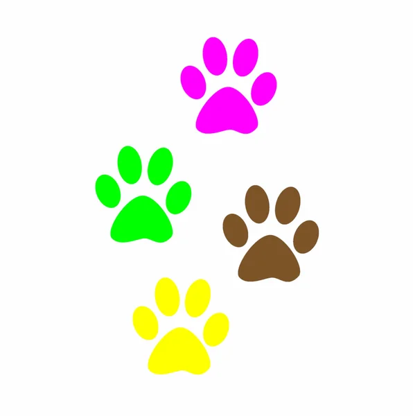 Kleurrijke Prints paw prints dier, web-pictogram. — Stockfoto