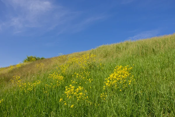 Склон зеленого холма и голубое чистое небо — стоковое фото