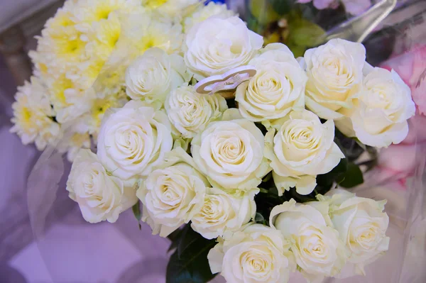 Cream beautiful rose. — Stock Photo, Image