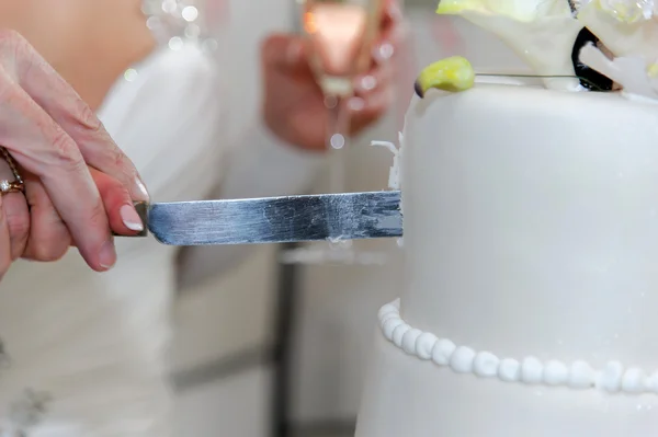 Älteres Ehepaar schneidet den Kuchen an. — Stockfoto