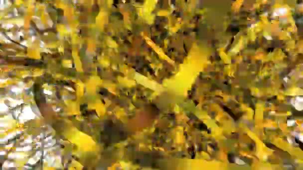 Хаотические Охристые Ленты Движении Абстрактные Анимированные Линии — стоковое видео
