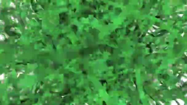 Chaotic Green Ribbons Motion Abstract Animated Tangle Lines — Stock Video
