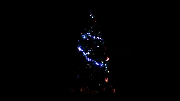 Noel Ağacı Gece Dışarıda Yeni Yıl Şen Doğal Ladin — Stok video