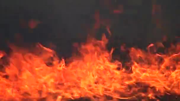 Silueta Požárního Lesa Noci Blízko Plamen Silně Izolován Tmavém Pozadí — Stock video