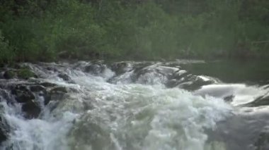 Vahşi bir doğada, kayalıklardaki Vahşi Şelale. Yüce Büyük ve güçlü şelale Kuzey 'in güzel ormanları.