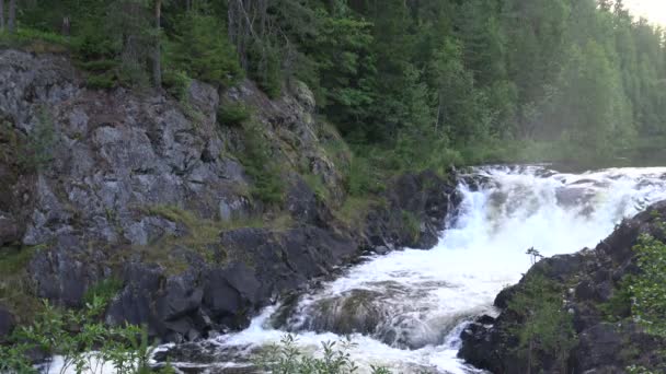 Wild Waterfall Klipporna Vild Natur Högt Stort Och Mäktigt Vattenfall — Stockvideo