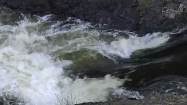 Cascade Sauvage Sur Les Rochers Dans Une Nature Sauvage Haute — Video