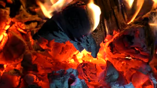 Burning Wood Briquettes Space Heating Fire — Stock Video