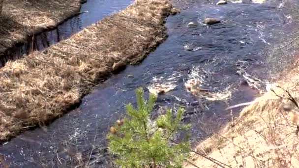 Верхній Вид Дику Річку Ущелині Гір Природа Північного Лісу Пагорбах — стокове відео