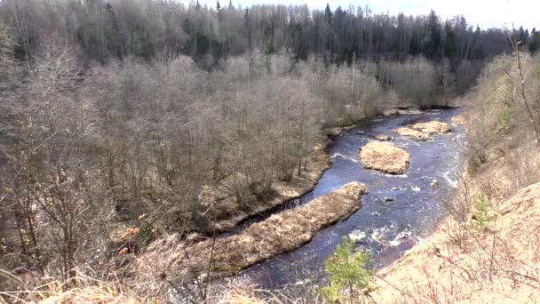Widok Dziką Rzekę Wąwozie Gór Natura Północy Las Wzgórzach Szybki — Wideo stockowe