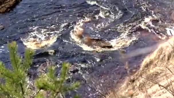 Vue Dessus Rivière Sauvage Dans Les Gorges Des Montagnes Nature — Video