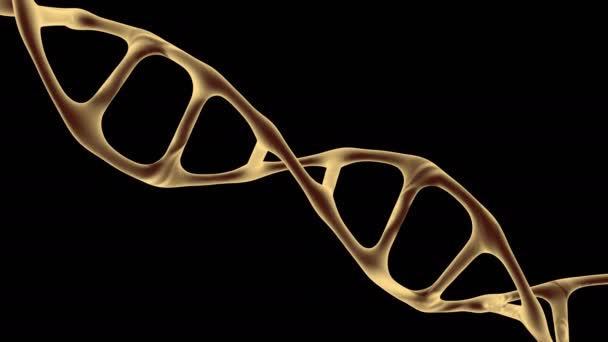 Dna Molekül Geni Izole Edildi Genetik Programı Depolayan Bir Makro — Stok video