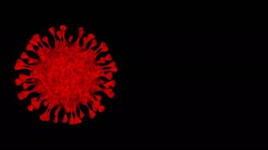 Covid-19 Coronavirus arka planda izole edildi. Virüsün lifli işlemleri diğer hücreleri delip geçiyor..