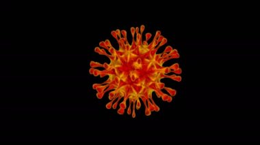 Covid-19 Coronavirus arka planda izole edildi. Virüsün lifli işlemleri diğer hücreleri delip geçiyor..
