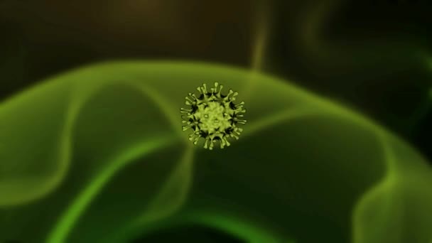 Coronavirus Covid Isolé Sur Fond Les Processus Filamenteux Virus Pénètrent — Video