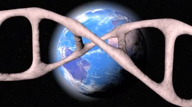 DNA molekül geni izole edildi. Genetik programı depolayan bir makro molekül.