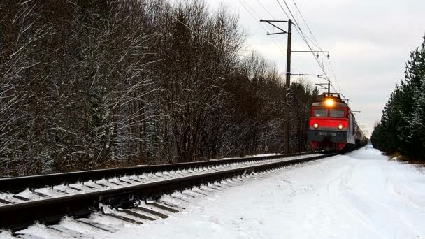 Tren Marfă Deplasează Pădurea Iarnă Tren Multiplu Grăbește Lungul Șinelor — Videoclip de stoc