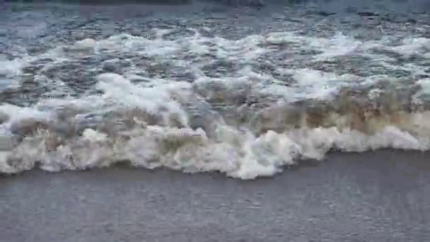 바다의 파도가 생물의 — 비디오