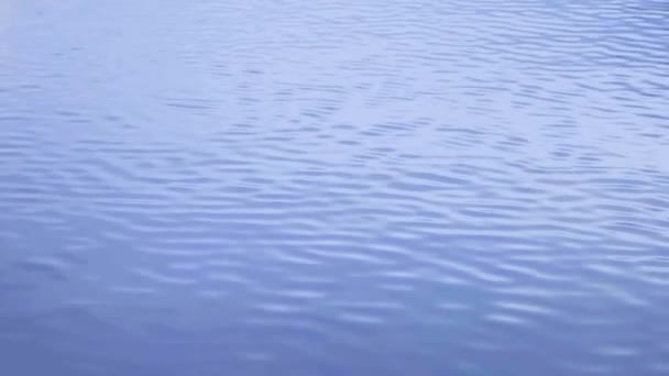 Wellen Des Meeres Bei Sonnenuntergang Natur Des Ozeans Wildes Wasser — Stockvideo